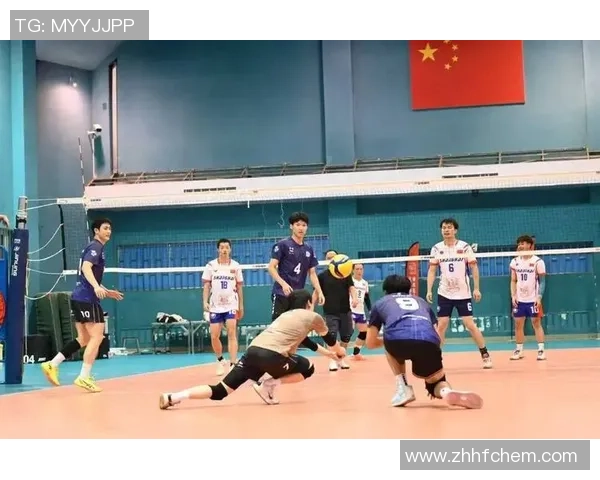 上海排球队在杯赛中的团队协作表现分析与启示