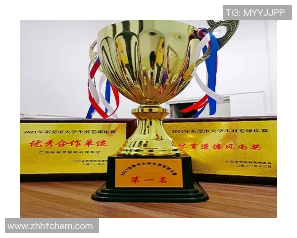 南京羽毛球队与深圳羽毛球队赛后复盘分析及经验总结